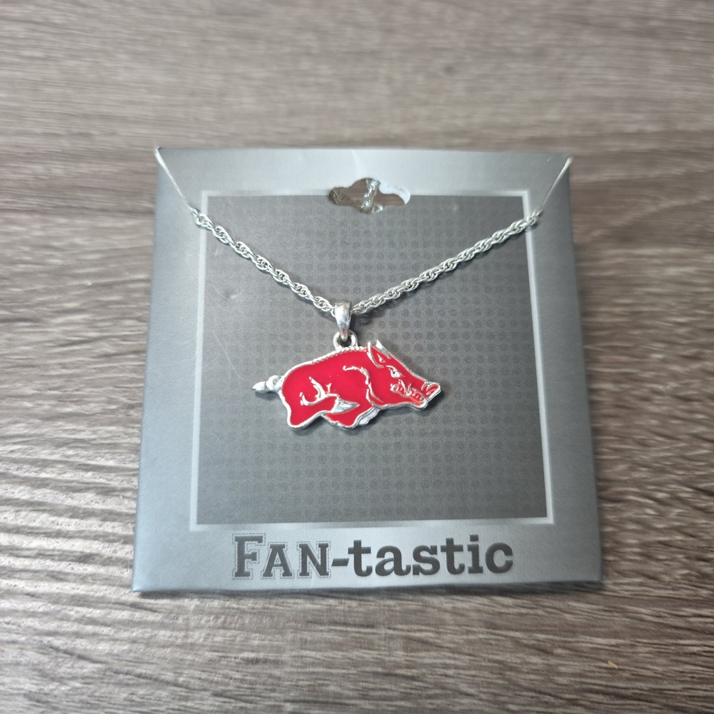 Arkansas Razorbacks FAN-tastic Enamel Pendant Necklace Silver Tone Rope Chain